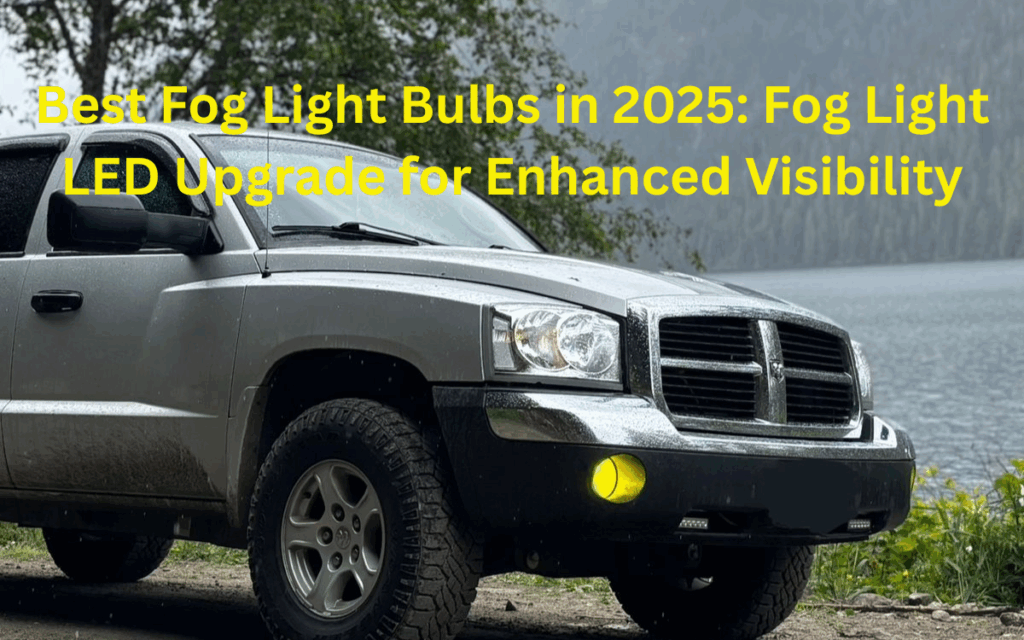 Best Fog Light Bulbs In 2025: Brightest Led Picks For Clearer Vision 1 blog fog light featured image