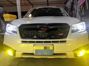 White Yellow LED Headlight Bulb For Rainy Snowy Foggy Sunny