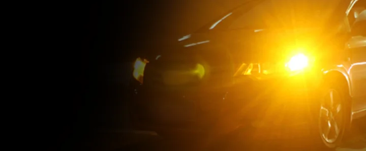 BOSLLA INTERIOR EXTERIOR LIGHT BULB