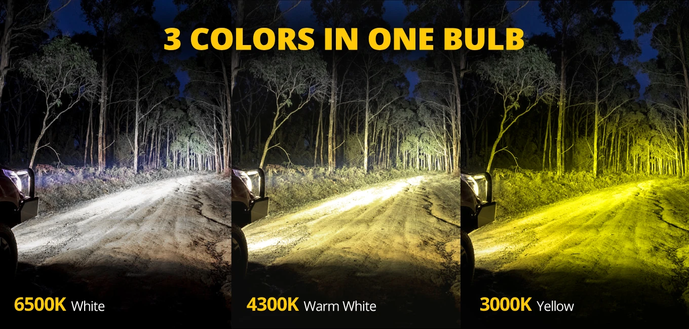 9005 Headlight Bulbs