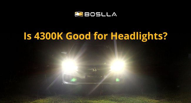 LED Headlight Bulbs