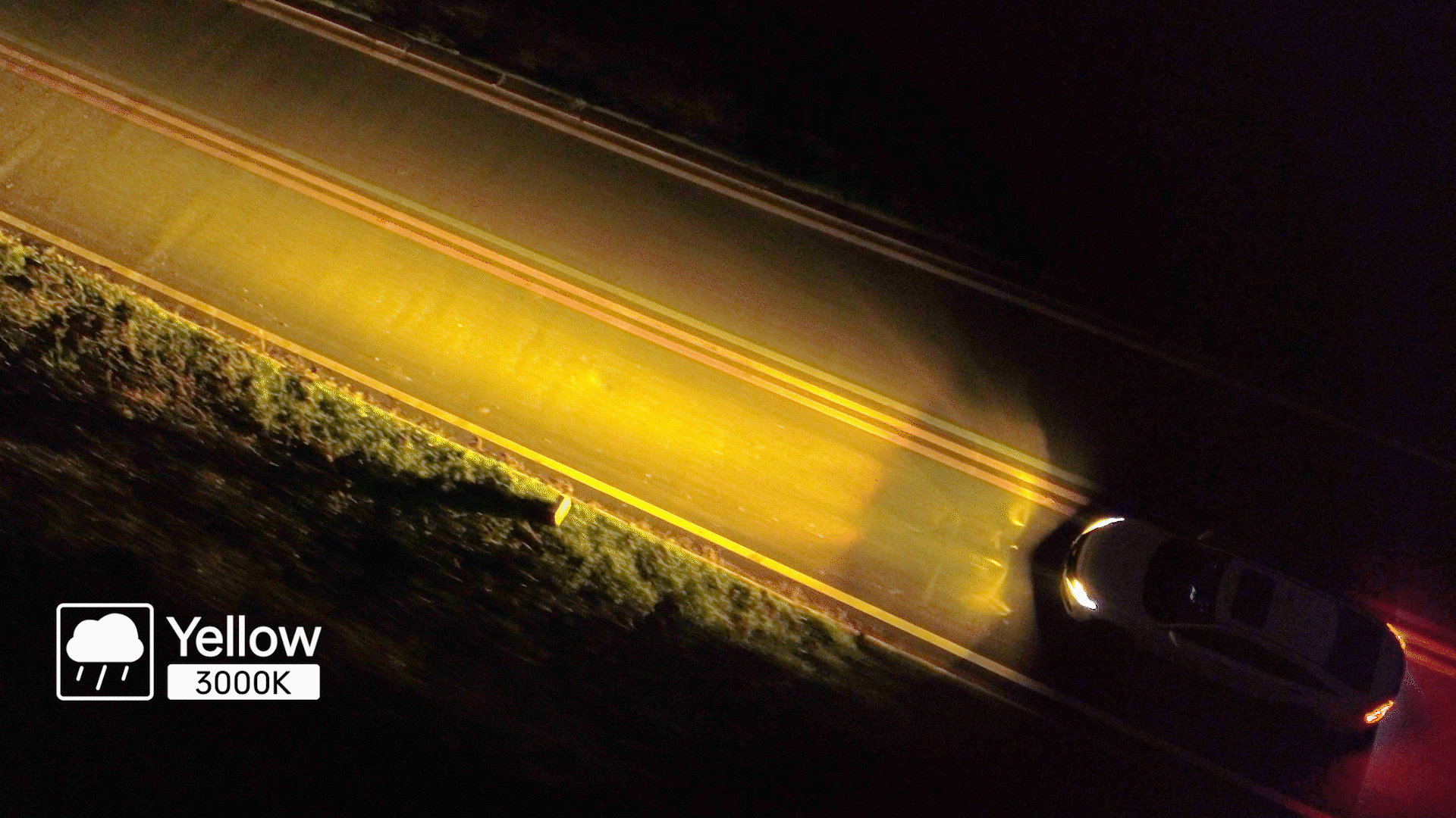 LED Headlight Bulbs