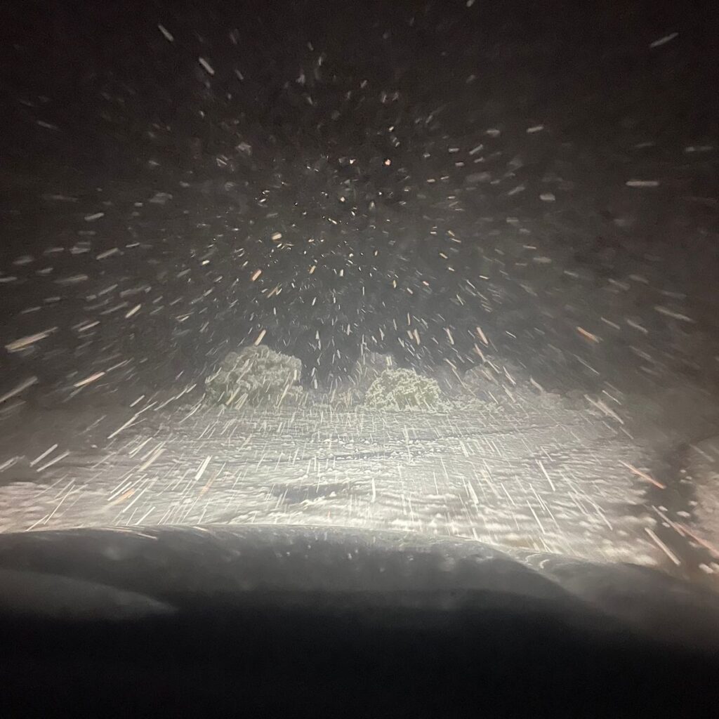 Image #2 from Reece Reyes